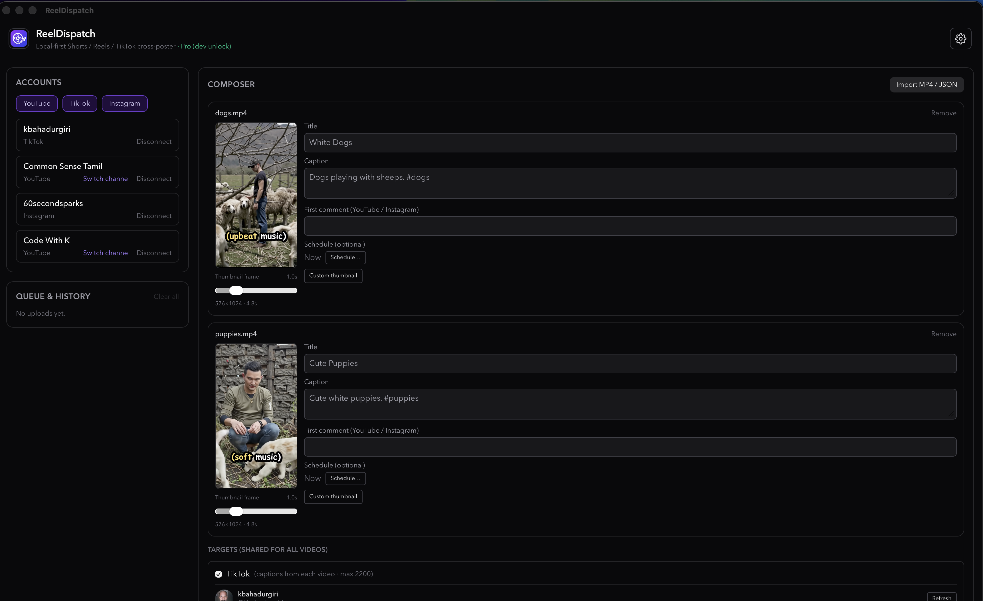 ReelDispatch composer with imported videos, captions, and shared TikTok targets