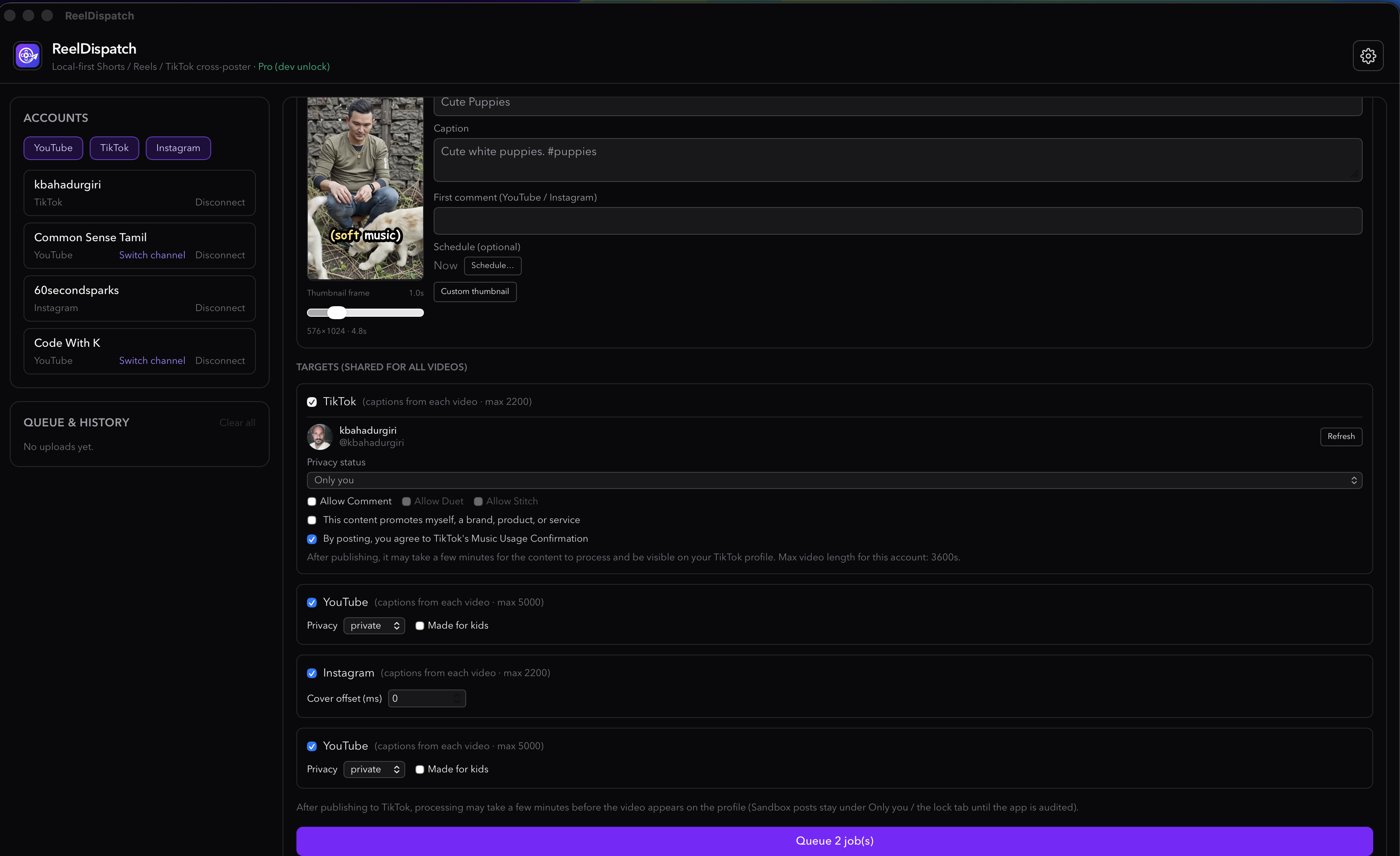 ReelDispatch platform target settings for TikTok, YouTube, and Instagram